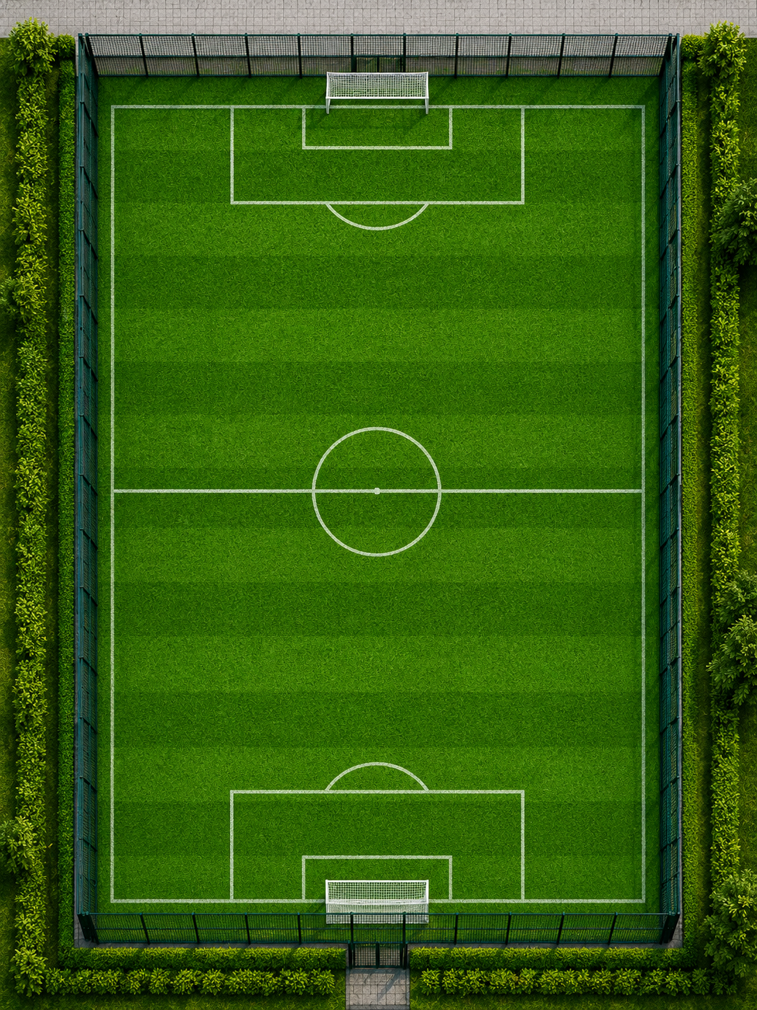 Imagen de la cancha seleccionada
